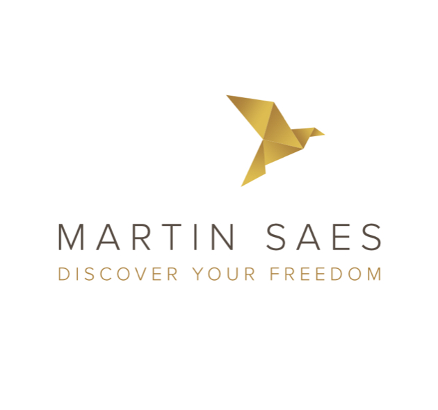 Marcus Wertz: Martin Saes Logo