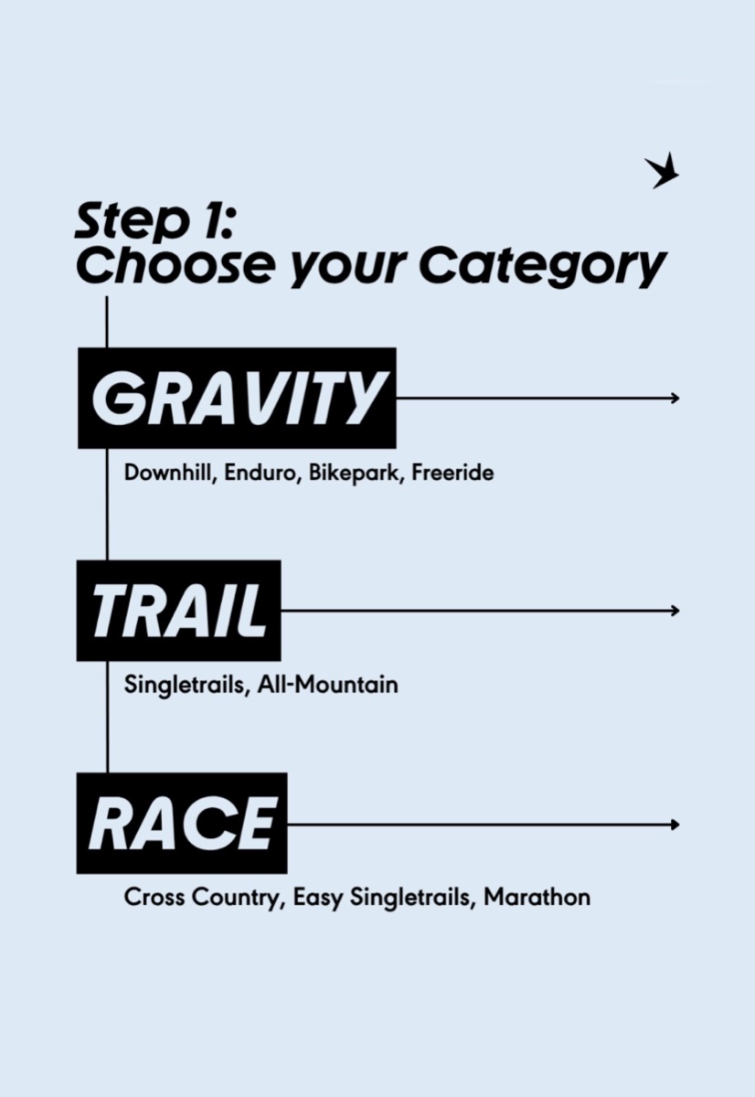 Schwalbe: Step 1 – Choose your Category